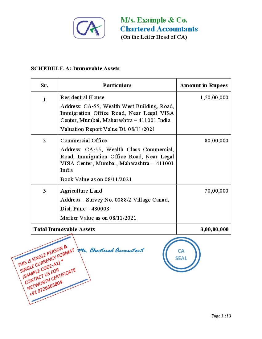 Networth Certificate Format Single Person Single Currency Format