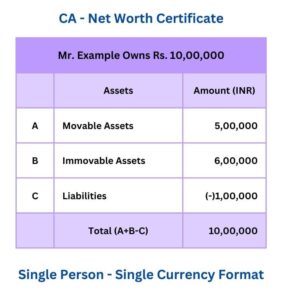 CA Asset Report Format for VISA